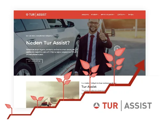 Tur Assist Mapfre – SEO