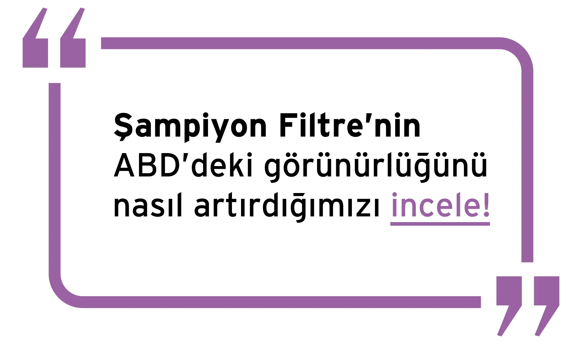 Şampiyon Filtre Search Engine Optimization Service