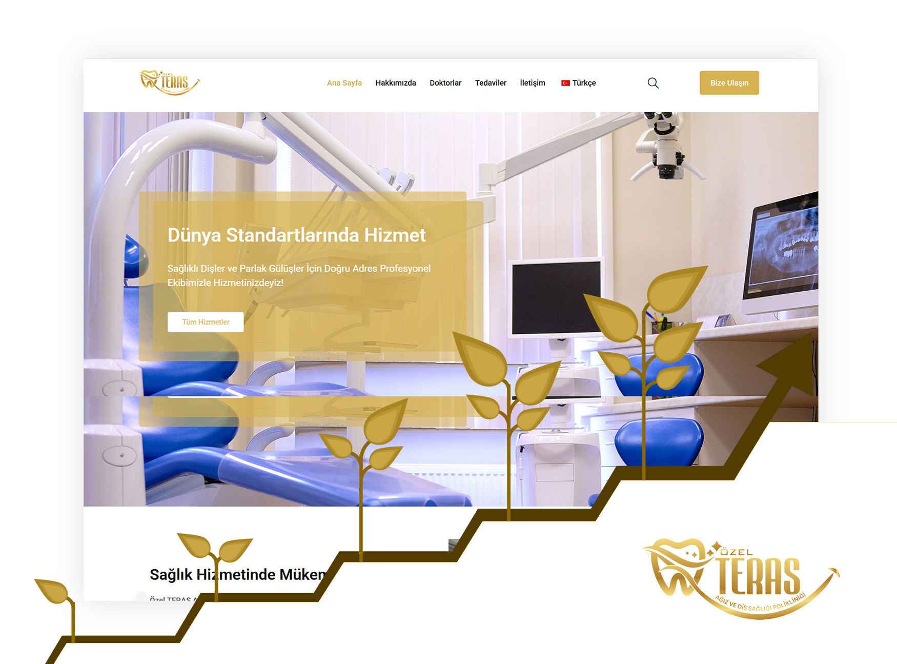 DentTerrace SEM Digital Advertising Campaign